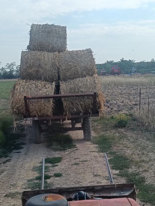Vând sau schimb baloți de tulei