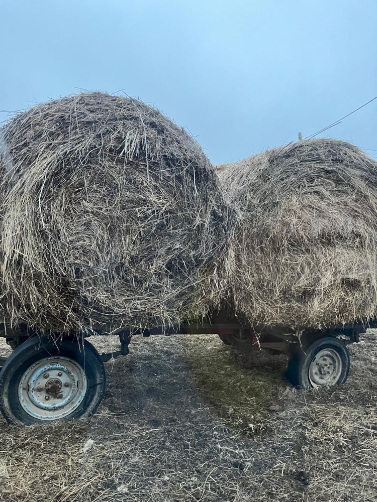 Platformă transport baloți