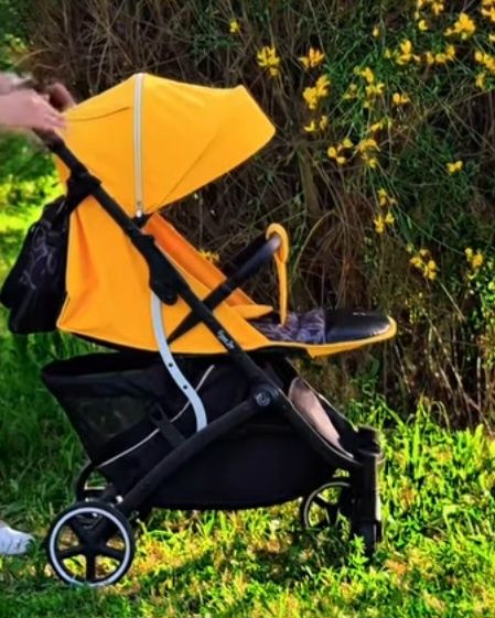 Дубайская коляска