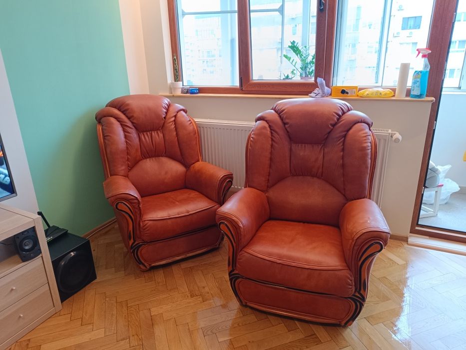 Vand fotolii piele maro