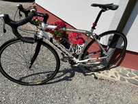Cursiera Lapierre Tech 3