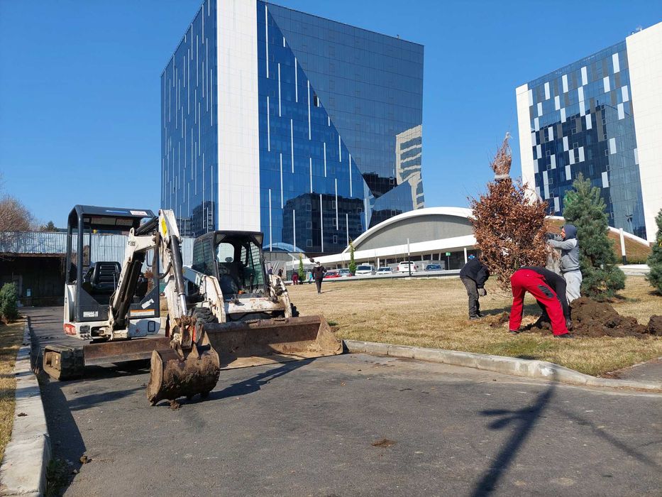 Bobcat Miniexcavator Picon Perie Sfreder Burghiu Pământ Freza pământ