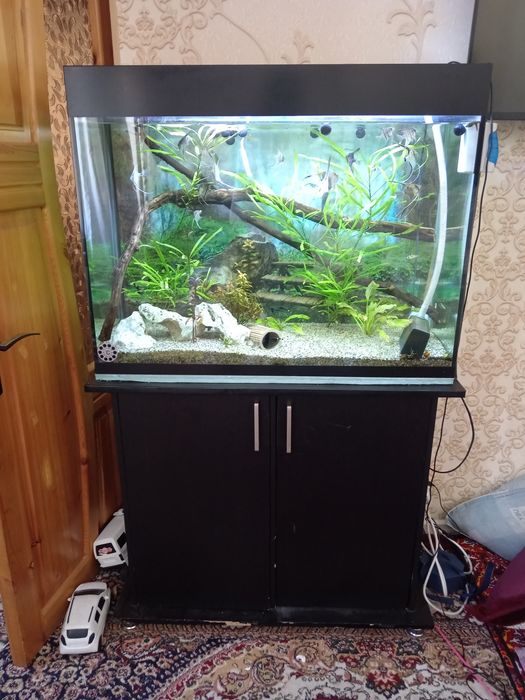 Аквариум 220 литр комплект сотилади