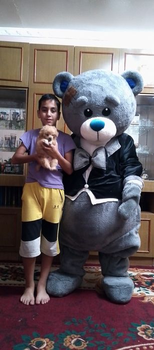 тедди сотилади 2 метр