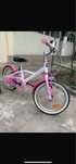 Bicicleta fetite