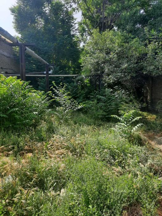 Кучмас Мулк обьект сотилади 15 сот девол билан уралган.
