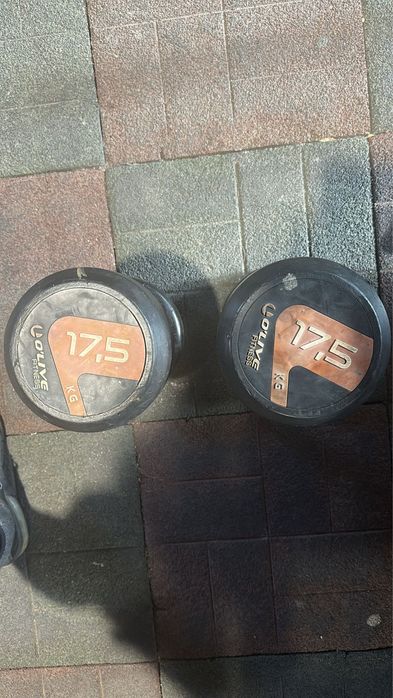 Gantere profesionale de 17,5 kg