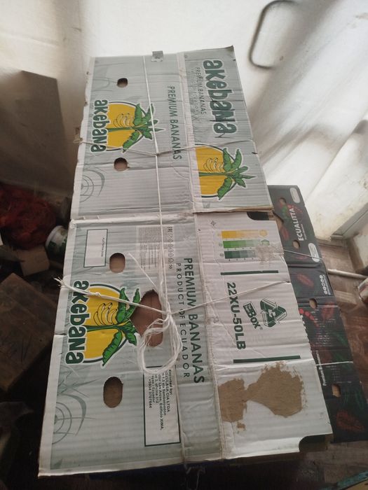 Banan karobka mevalarga