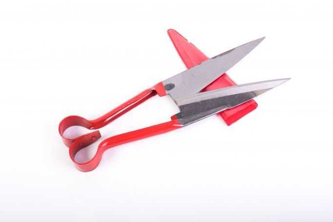 Foarfeca de tuns oi manuala ECO