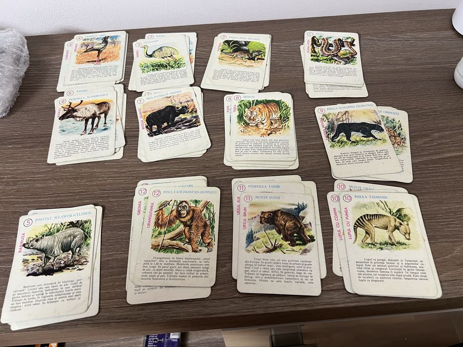 Joc Animale din continente IPBT