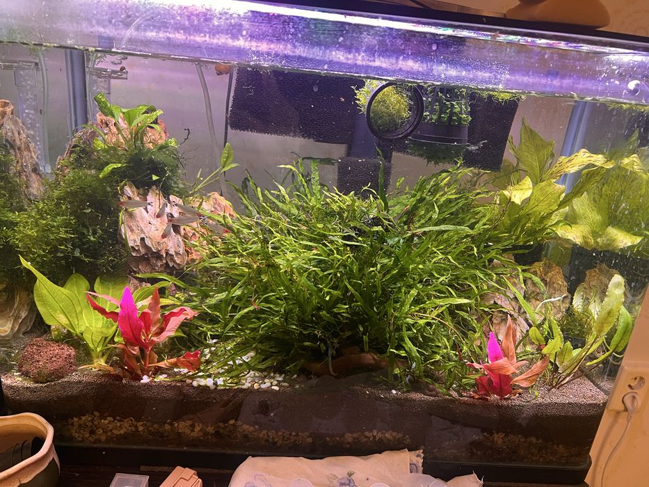 Продам аквариум 70 литров