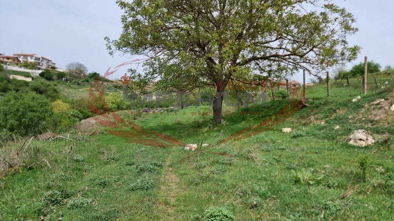 Продава се Парцел в с. Калиманци, Област Варна - 6194 кв.м за 6 €/кв.м - Снимка #7