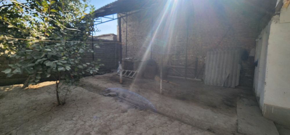 Хасанбой 1км от Пост Гаи место отличная 8соток фасад 20м 6комнатная