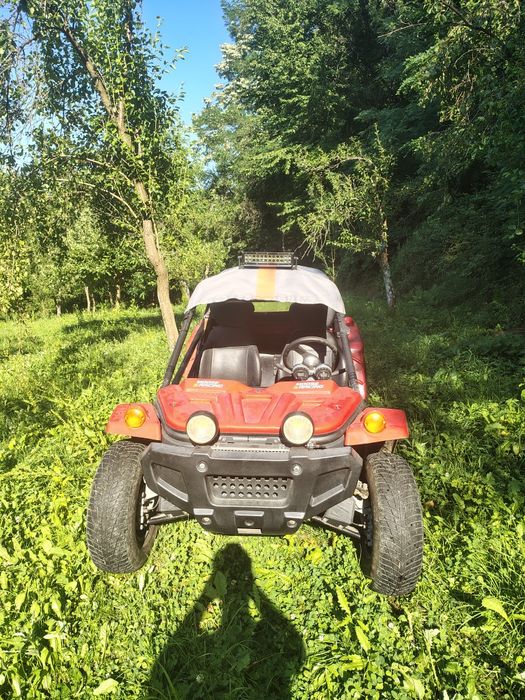 Buggy Buyang 450