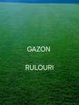 GAZON RULOU direct din ferma