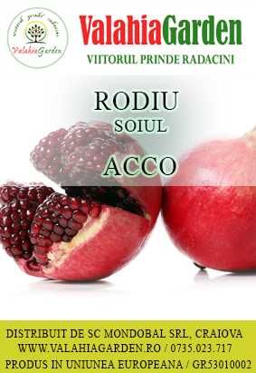 Aronia, Aluni, Kaki, Smochini, Nuci altoiti si Butasi vita de vie