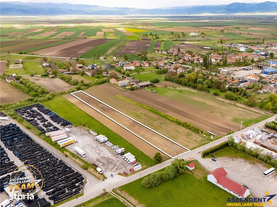 FILM! 5.000 mp teren, la marginea orasului Targu Secuiesc, aria indust