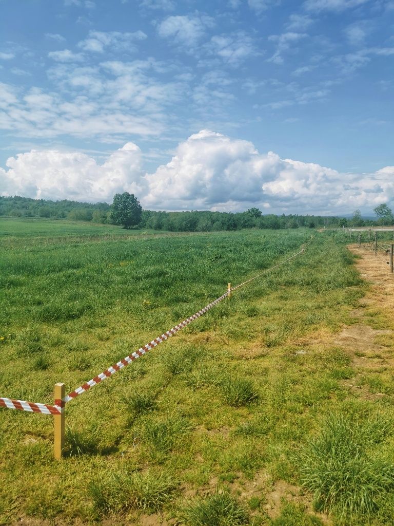 Teren intravilan 2130mp la 35km de Cluj