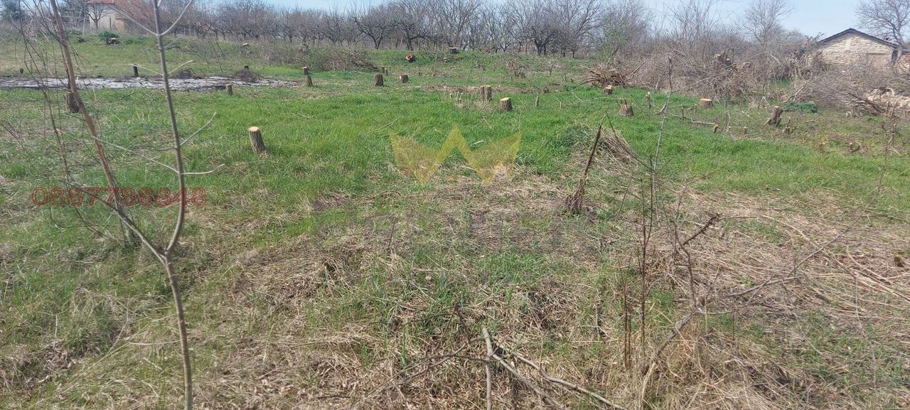 Продава се Парцел в с. Николаевка, Област Варна - 4991 кв.м за 16 €/кв.м - Снимка #2
