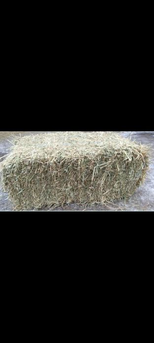 Vând baloti de fan transport la domiciliu