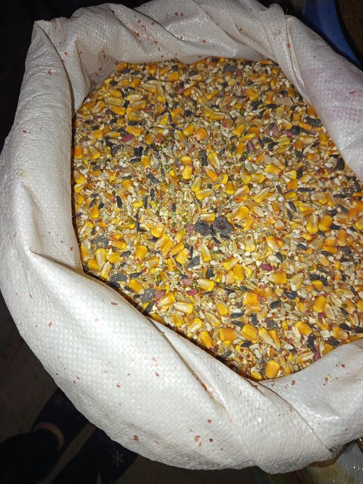 Yem mahsulotlari kunjara 5200 söm 1 sört