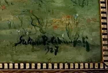 Tablou Pictura semnat Stelian Popescu Ghimpati - Peisaj