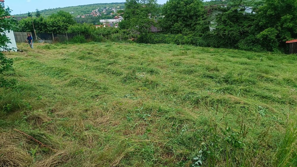 Tund iarbă cu motocoasa