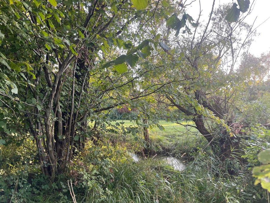 Vanzare Teren Extravilan, Sebes, jud. Brașov