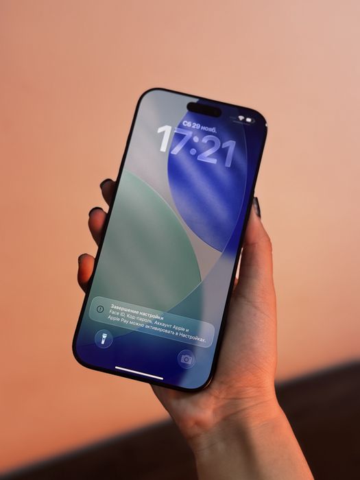 iPhone 16 Pro Max — 256 GB