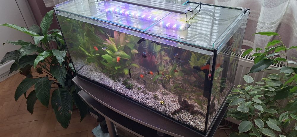 Аквариум 112л оборудван