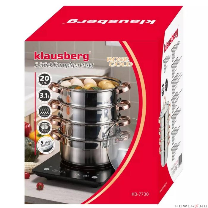 Set de 5 piese, oala pentru fiert cu abur, inox, diametru 20 cm,