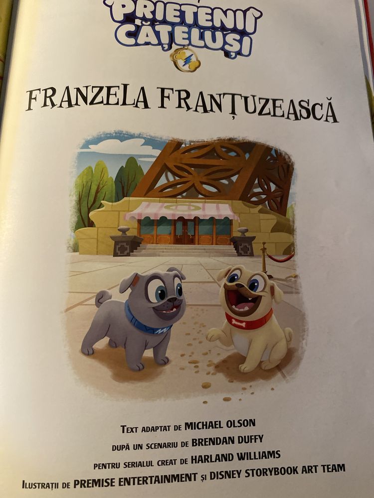 3 carti Disney Prietenii Catelusi Zootropolis Regele Leu