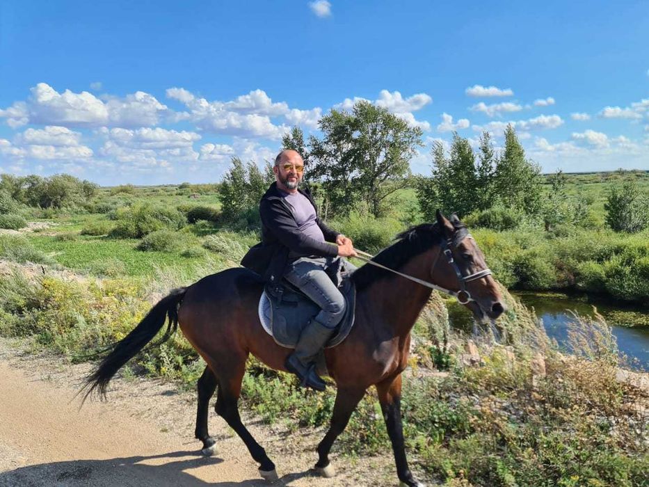 Муж на час мелкосрочный бытовой ремонт.