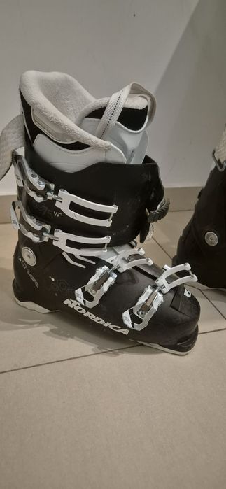 Clapari Nordica Cruise 26 cm model 2020