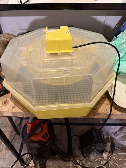 Incubator / clocitoare cleo 5TH