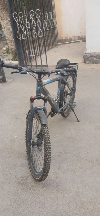 Ipa Sport velik 26