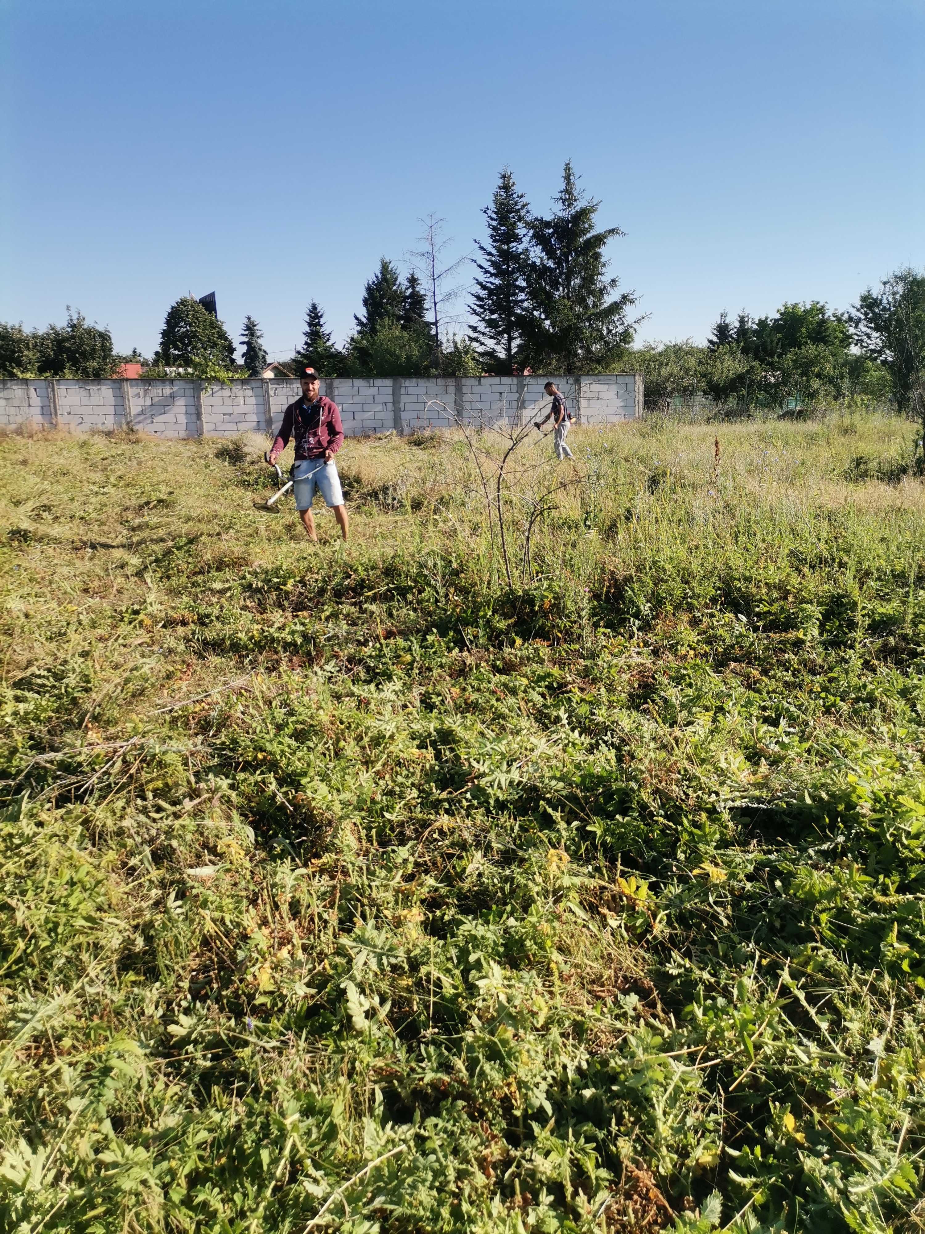 Tundem gazon iarbă buruieni lăstăriș ierbicidăm