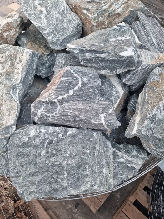 Bolovani ornamentali