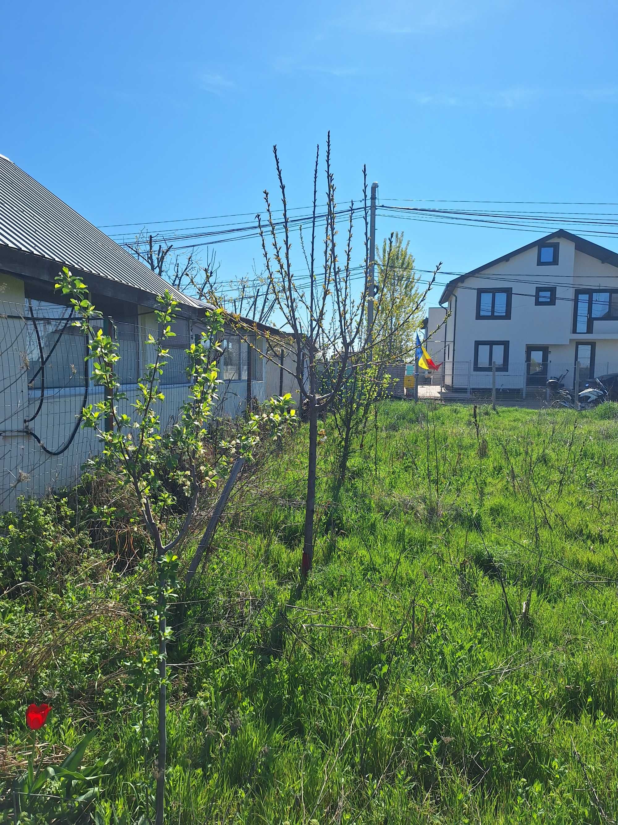 Teren Berceni, Primaverii, zona lacuri, gaz si curent