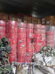 IRRIGATION SYSTEMS (Tomchilab sug'orish lentalari)

Stf - Made in Turk