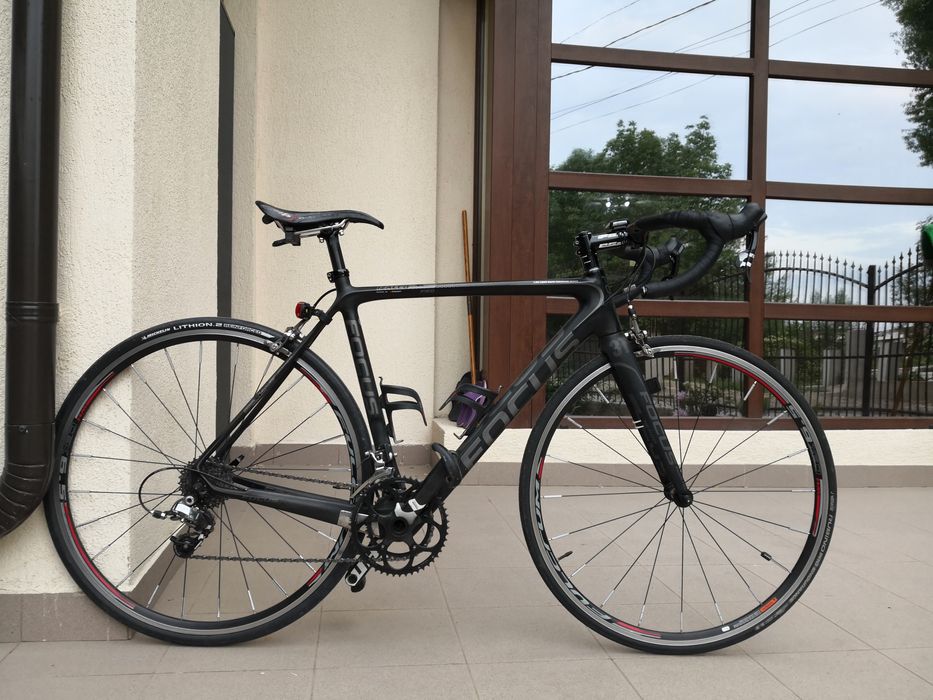 Cursiera carbon Focus