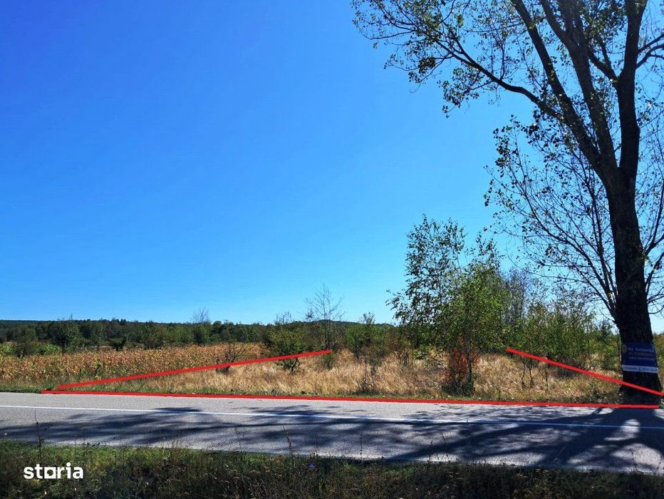 Teren Intravilan Și Extravilan Baia De Fier