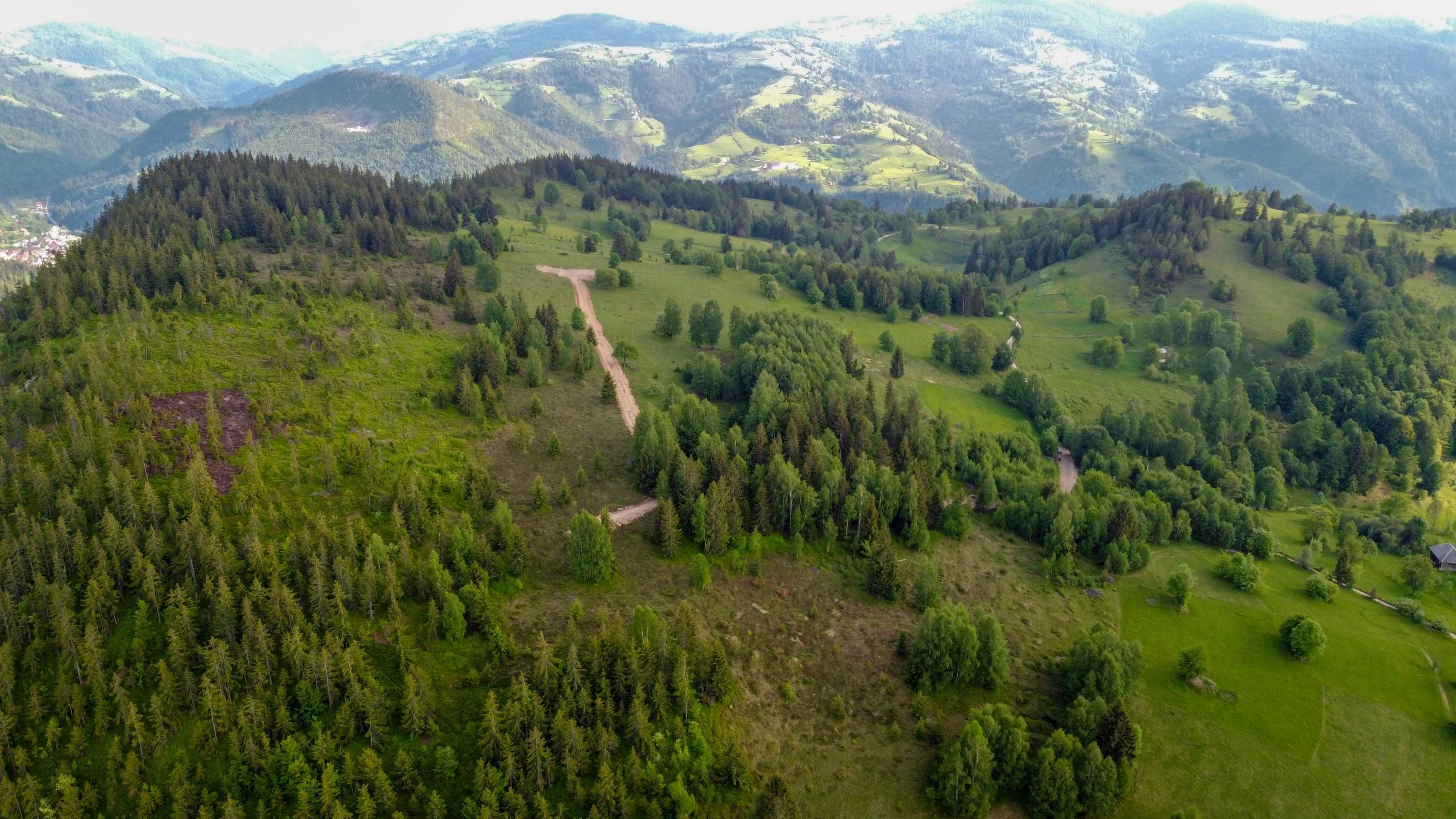 Teren cabana in Apuseni