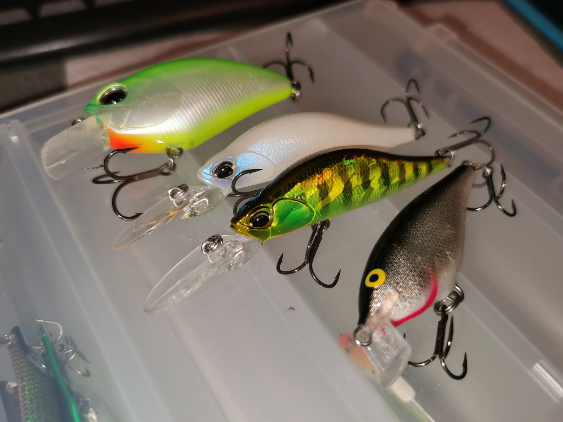 Voblere DUO, Rapala