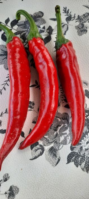 Vând boia dulce de casă