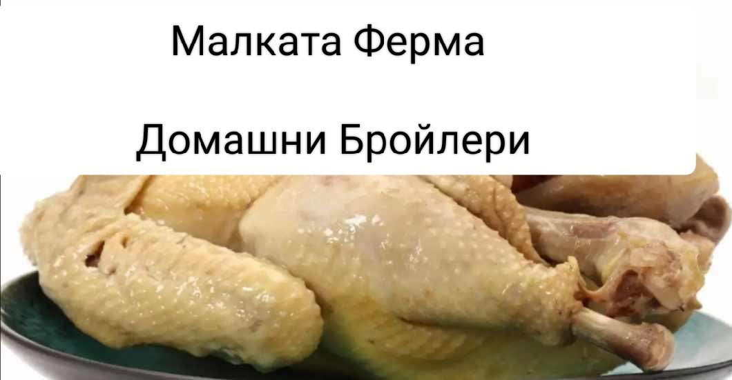 Домашни бройлери само за Гр.Варна