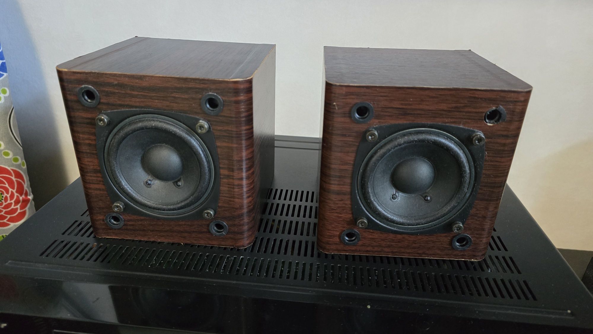 Съраунд колони Pioneer