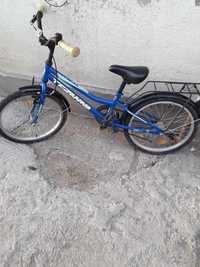 Bicicleta terrana