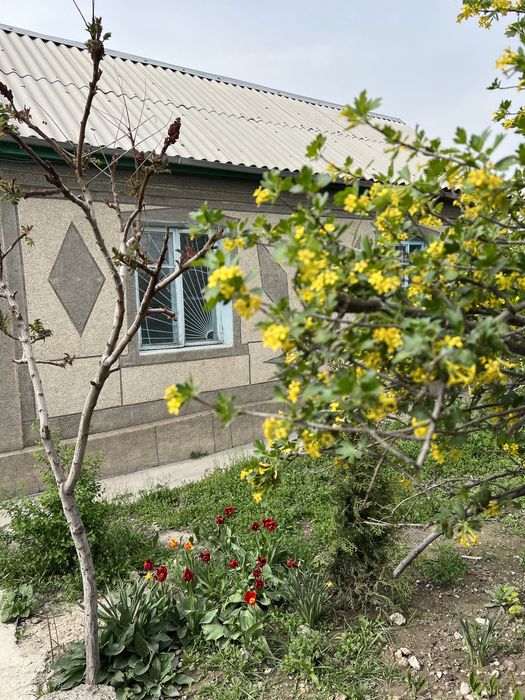 Срочно Продается Дом