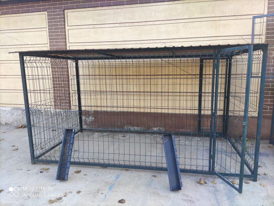 Tovuq kataklar sifatli